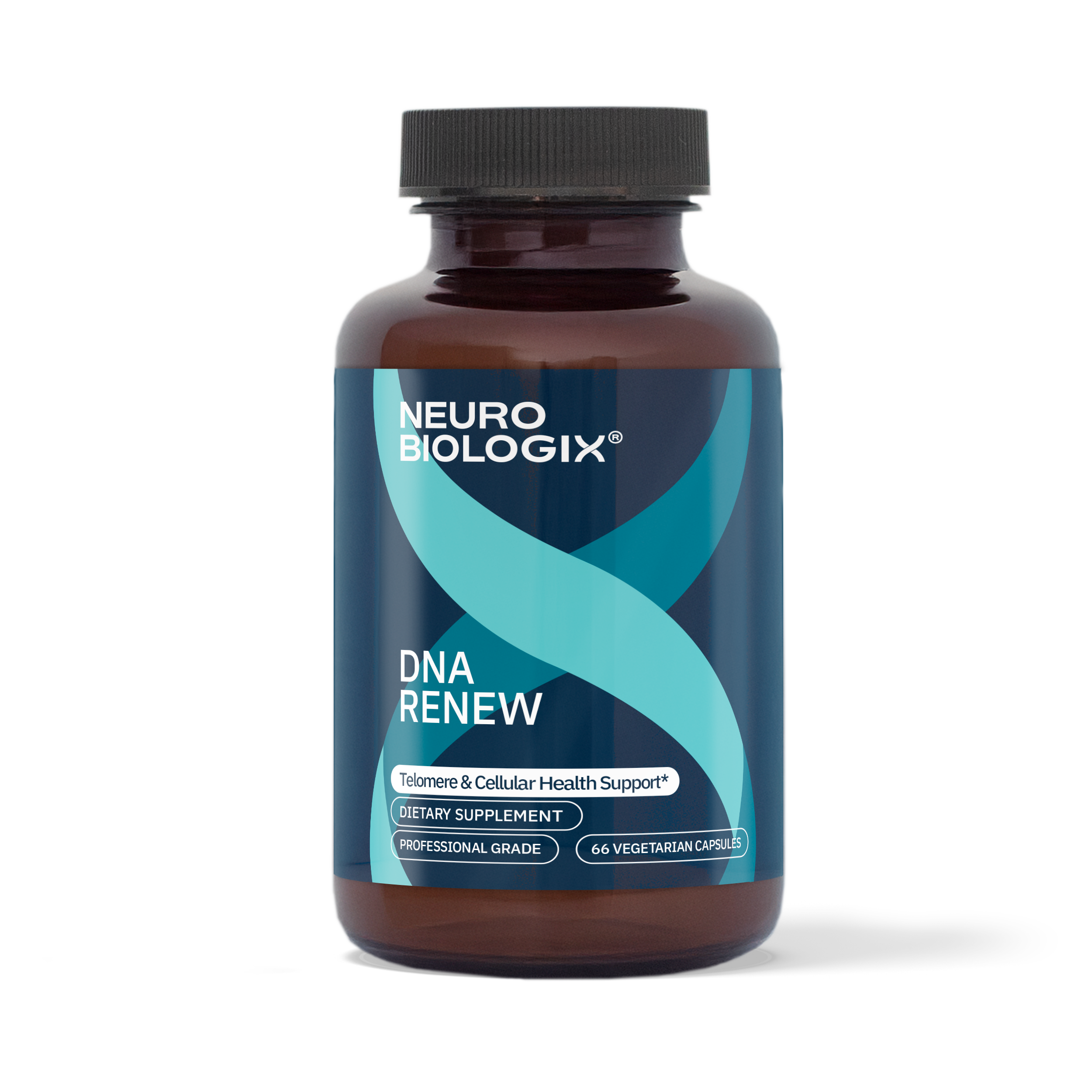 その他 BODYENGINNERS  X NEO DNA Sustain Supplement