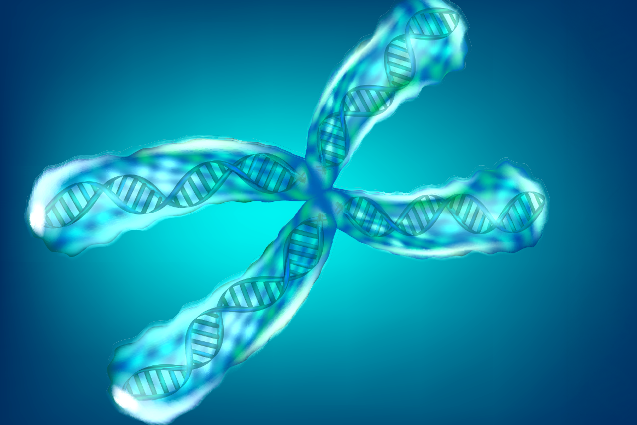 Telomeres: The Genetic Foundation of Cellular Aging