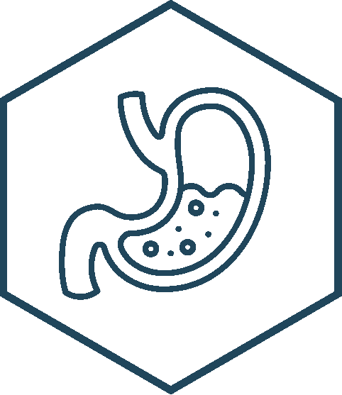 Neurobiologix gastrointestinal health icon in a hexagon outline.