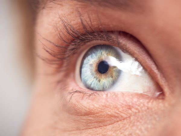 Clinical Protocol to Support Age-Related Macular Degeneration and Glaucoma