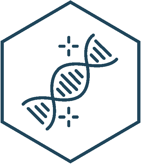 Methylation_Icon