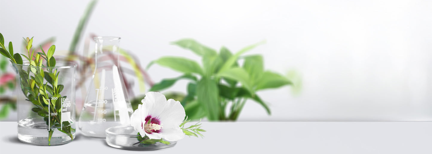 Neurobiologix_Medicine_Art