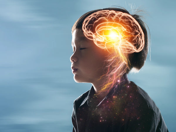Clinical Integrative Protocol for Autonomic Neurodysregulation​